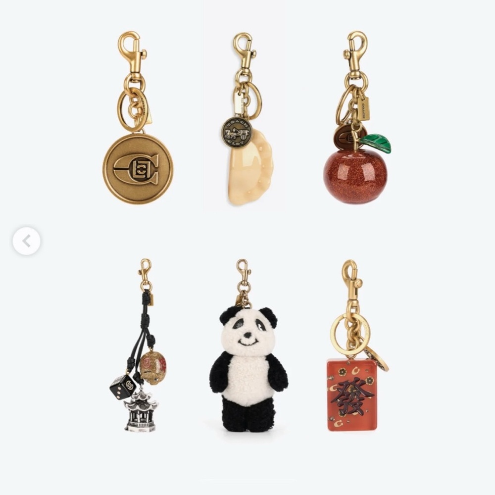 NWT Coach Clot Dumpling Bag Charm - Picture 3 of 16